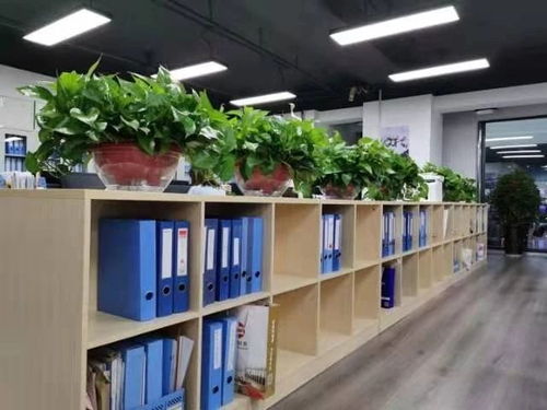 西安咸陽及周邊地區(qū)公司注冊(cè)與專業(yè)服務(wù)全解析 從工商注冊(cè)到代理記賬、審計(jì)、食品勞務(wù)派遣